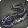 Blackfin Snake Eel
