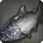 Othardian Salmon