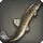 Heritage Loach