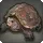 Mossy Tortoise