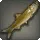 Mudfish