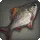 Chromatic Fish