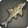 Gravel Gudgeon