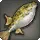 Kobold Puffer