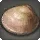 Devotion Clam