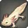 Tiny Axolotl