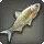Cloudfish