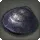 Rock Mussel