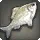 Abalathian Bitterling