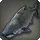 Cenote Shark