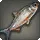 Mirage Chub