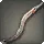 Snipe Eel