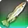 Princess Killifish