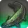 Xenacanthus