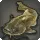 Desert Catfish