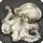 Albino Octopus