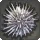 Salt Urchin