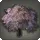 Eastern Cherry Tree