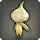 Garlic Jester