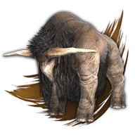 Island buffalo